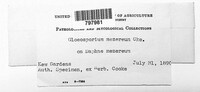 Image Associated With the Occurence